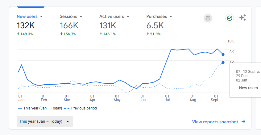 This Year Google Analytics Screenshot
